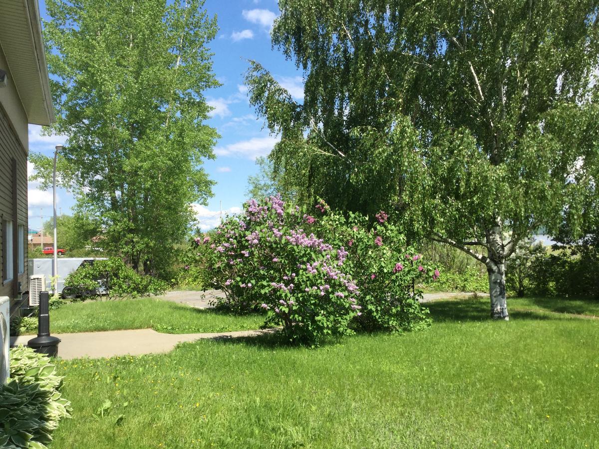 Motel Et Condo Chez Charley Sainte-Anne-de-Beaupré Eksteriør bilde